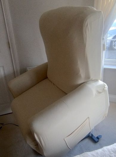 Dual motor riser recliner