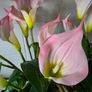 2 artificial calla lily Image 3