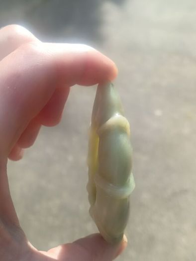 Qing Dynasty Jade Brush Washer
