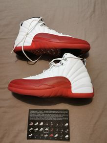Nike Air Jordan 12 Retro ''Cherry''