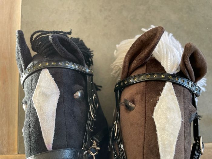 Hobby horses