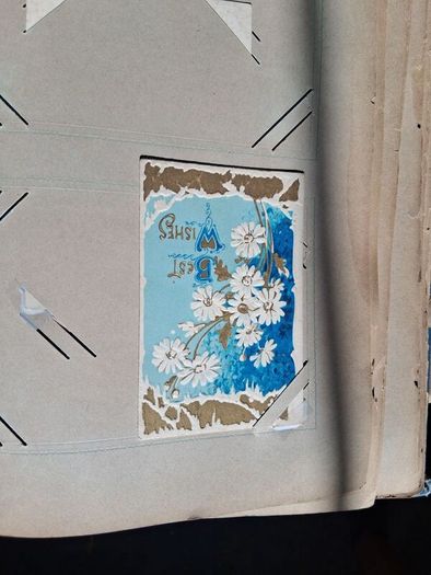 Mega Art Nouveau Postcard Album (197 Pieces)