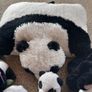 Panda bundle Image 8