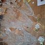 Waterford crystal champagne fleut lismore Image 3