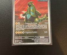 Pokemon  Iron Thorns