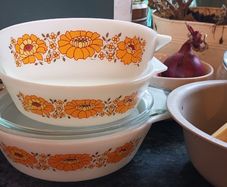 Pyrex dishes