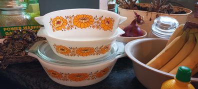 Pyrex dishes