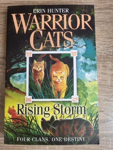 Warrior Cats - Rising Storm by Erin Hunter