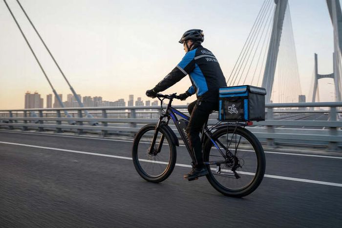DUOTTS C29 Pro 29 Inch Electric Mountain Bike