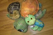 turtles