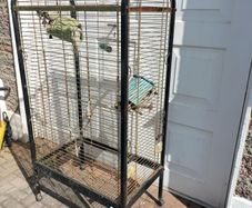 bird cage
