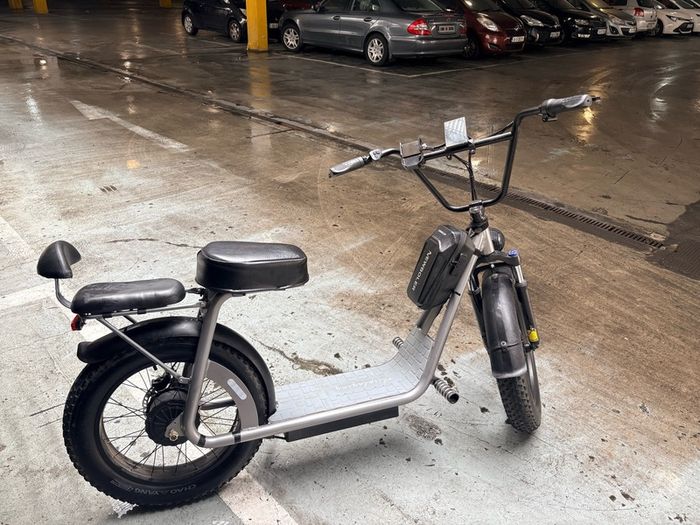 Electric Bike AS201