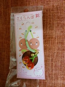 Japan Phone / Bag Charm