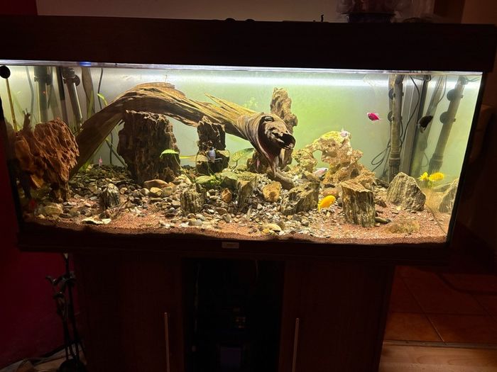 aquarium