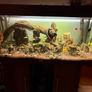aquarium Image 3