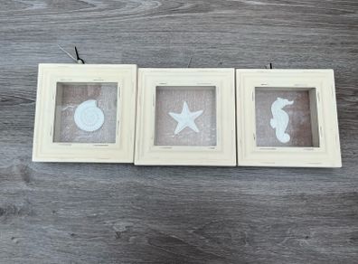 Set of 3 Pictures