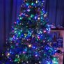 Christmas tree Image 6