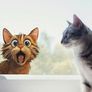 Cute Cat Window Sticker Decal Image 5