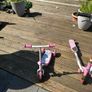 Scooters Image 4