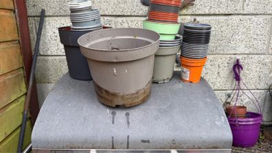 plastic flower pots