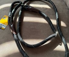 dogs  rope slip lead