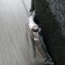 Watch Image 3