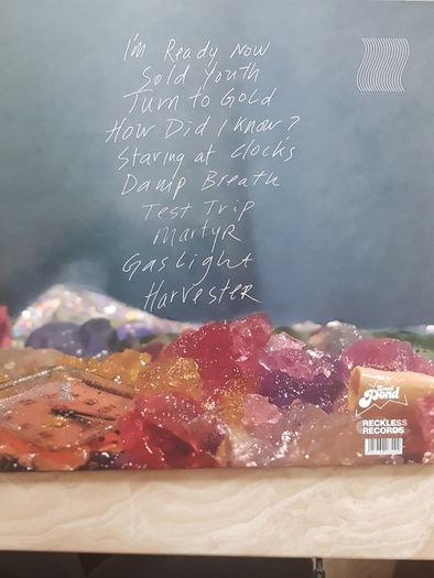 Bitch Falcon LP - Staring At Clocks