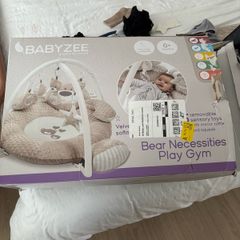 Baby Play Gym