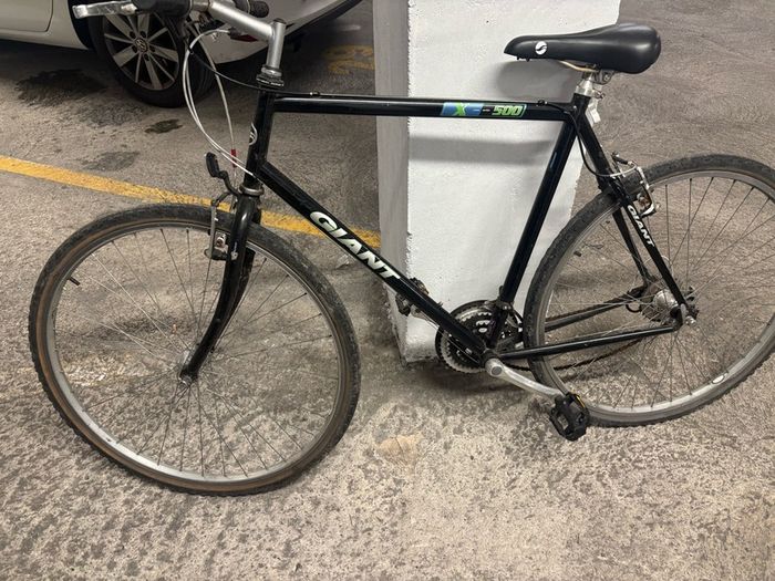 Giant bike