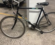 Giant bike