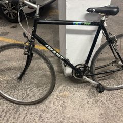 Giant bike