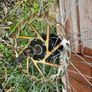 Disc Wheelset Image 3