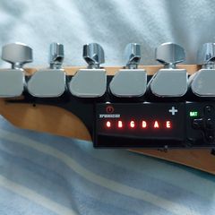 ESP Ltd Guitar + TronicalTune Tuner
