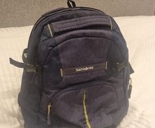 Samsonite Laptop Backpack