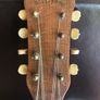 Vintage belltone banjolin Image 4