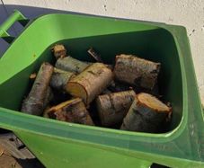 Firewood