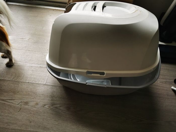 free cat litter box