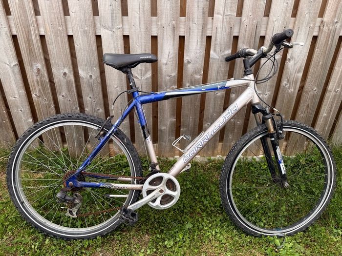 Mountain Bike