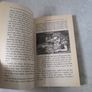 Alice's Adventures in Wonderland Image 4