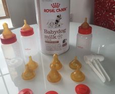 Puppy Milk Bottles