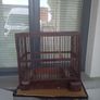 bird finch canary hopper cage I gave my birds away Image 3