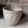 plant pots Image 4