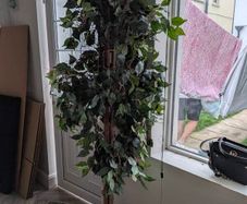 Large fake plant