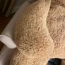 large teddy bear Image 6
