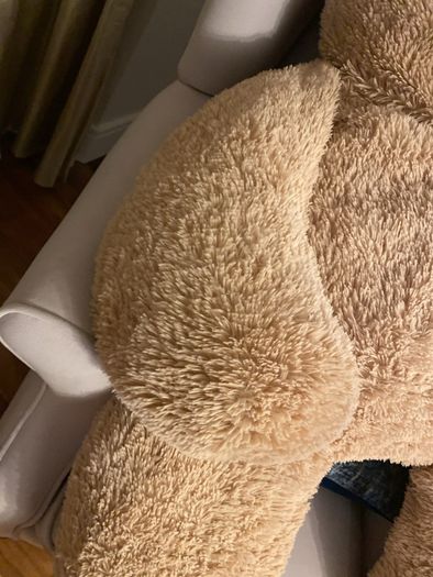 large teddy bear