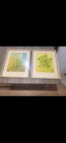 2 x vintage framed pictures
