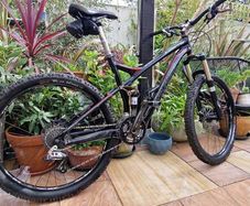 Specialized Stumpjumper