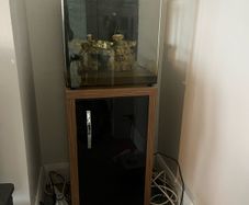 Free aquaone aquanano 40