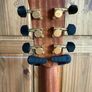 Avalon L1-10C Acoustic Guitar Image 5