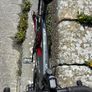 54cm Trek Domane AL 5 Gen 3 Disc Image 7